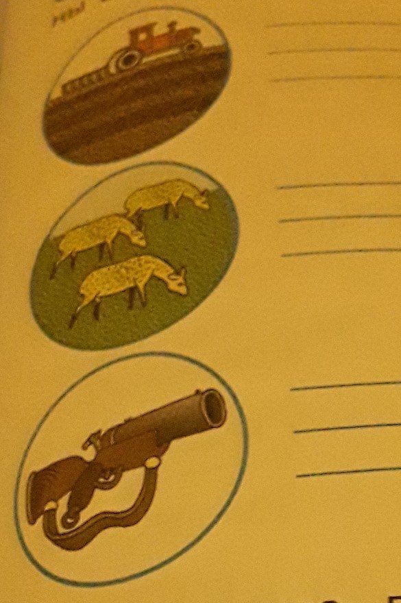 question img