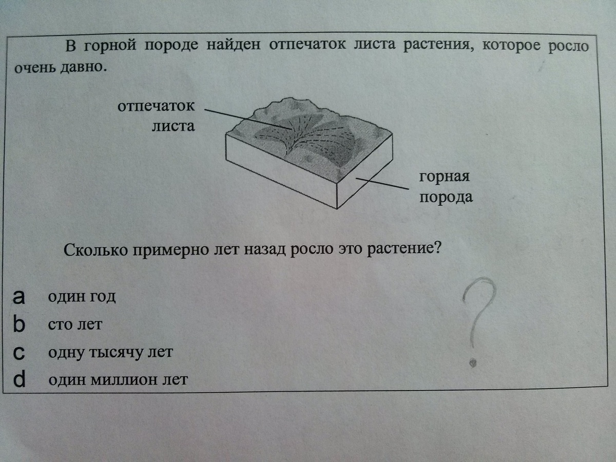 question img