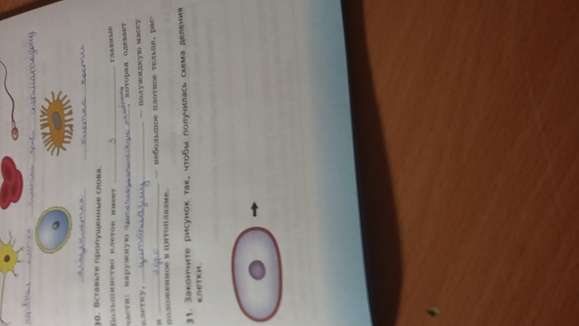 question img