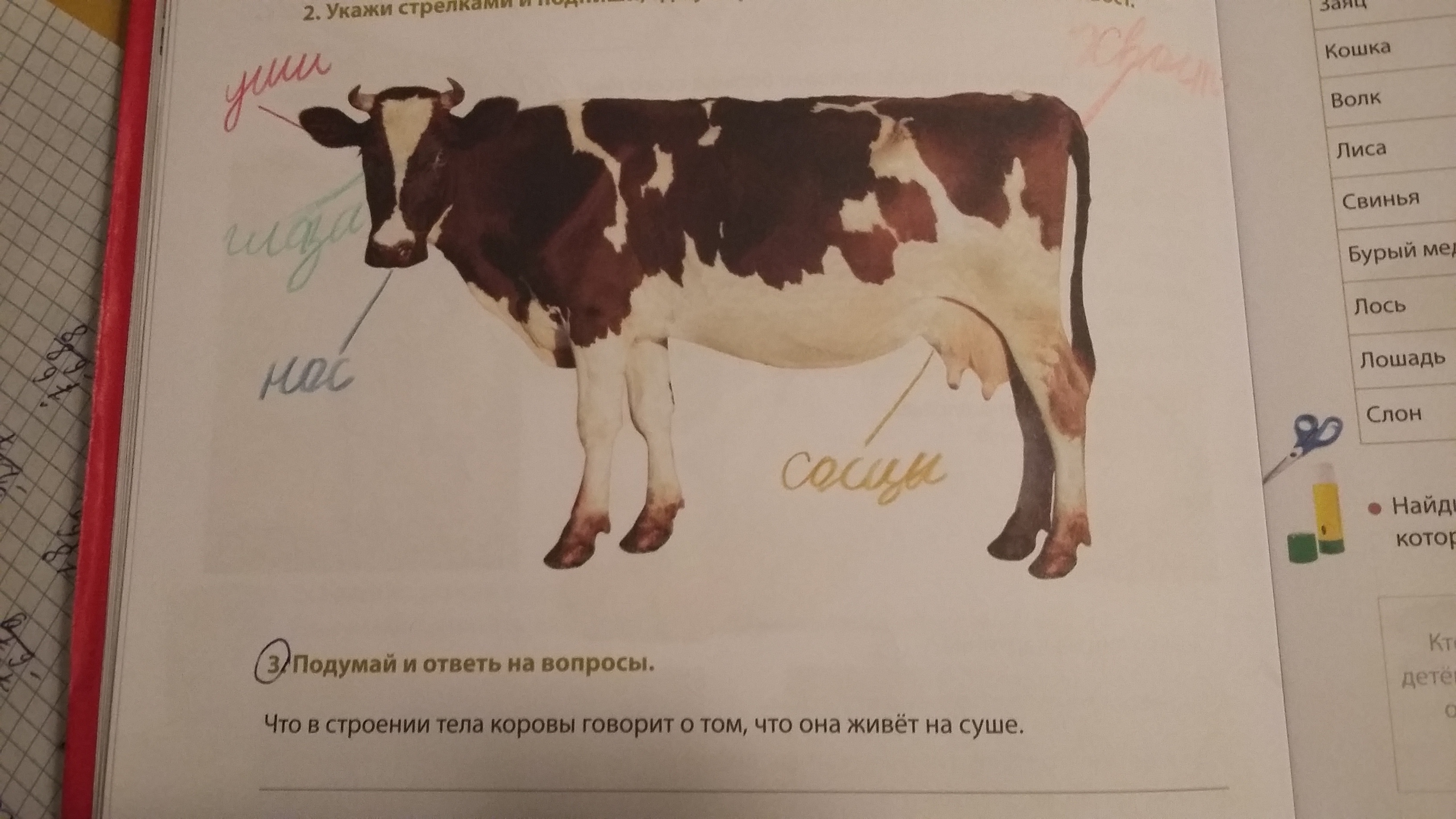 question img
