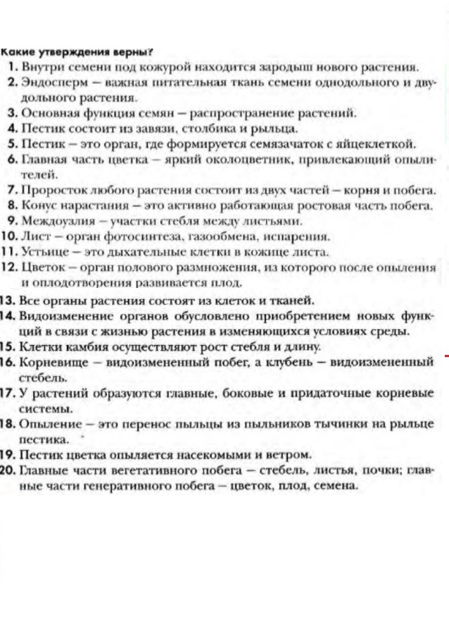 методика куна и макпартленда. какие из утверждений верны. двадцать утверждений. двадцать утверждений. выберите верные утверждения биология.