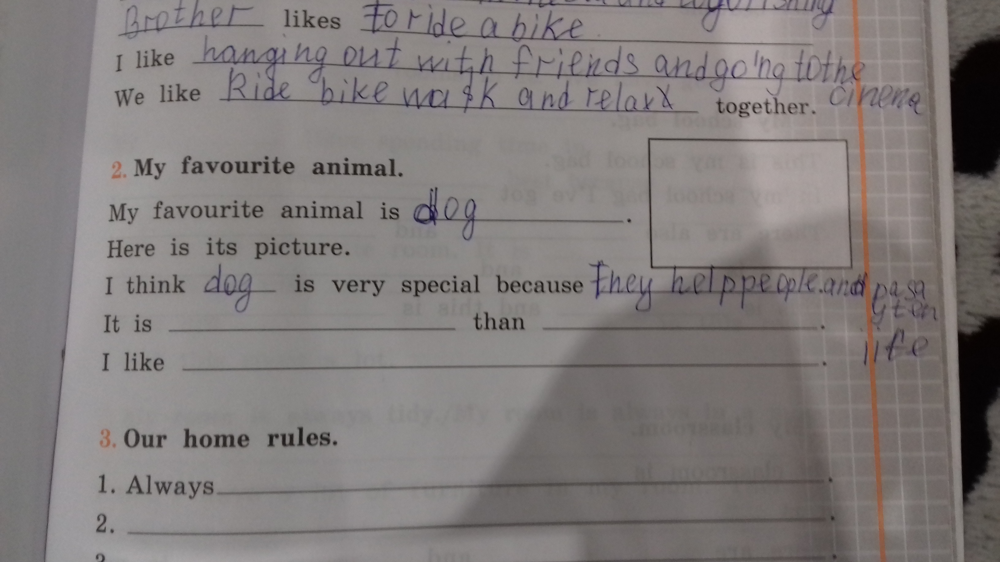 question img