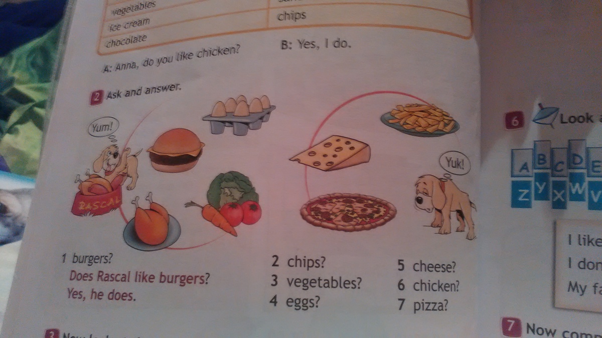 question img