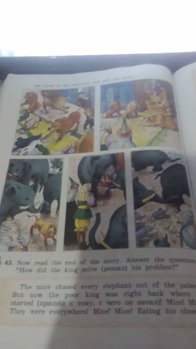 question img