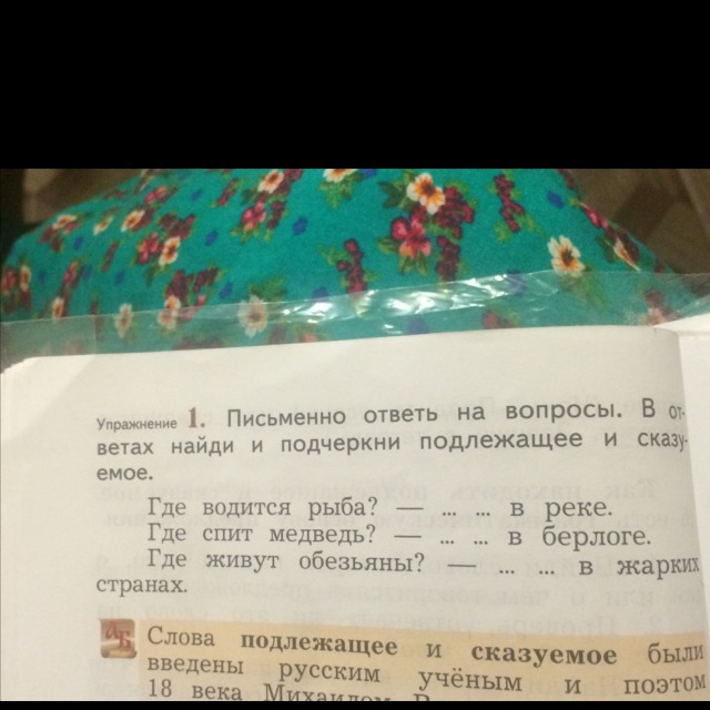 question img