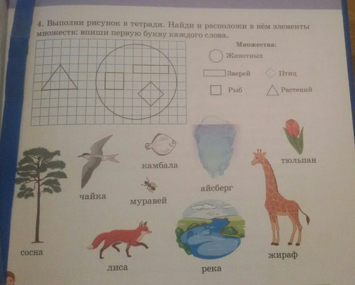 question img