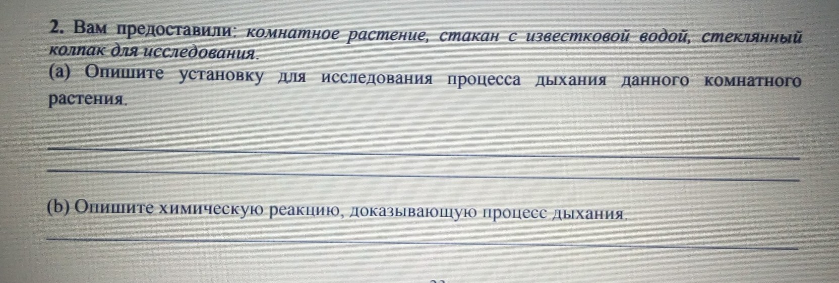 question img