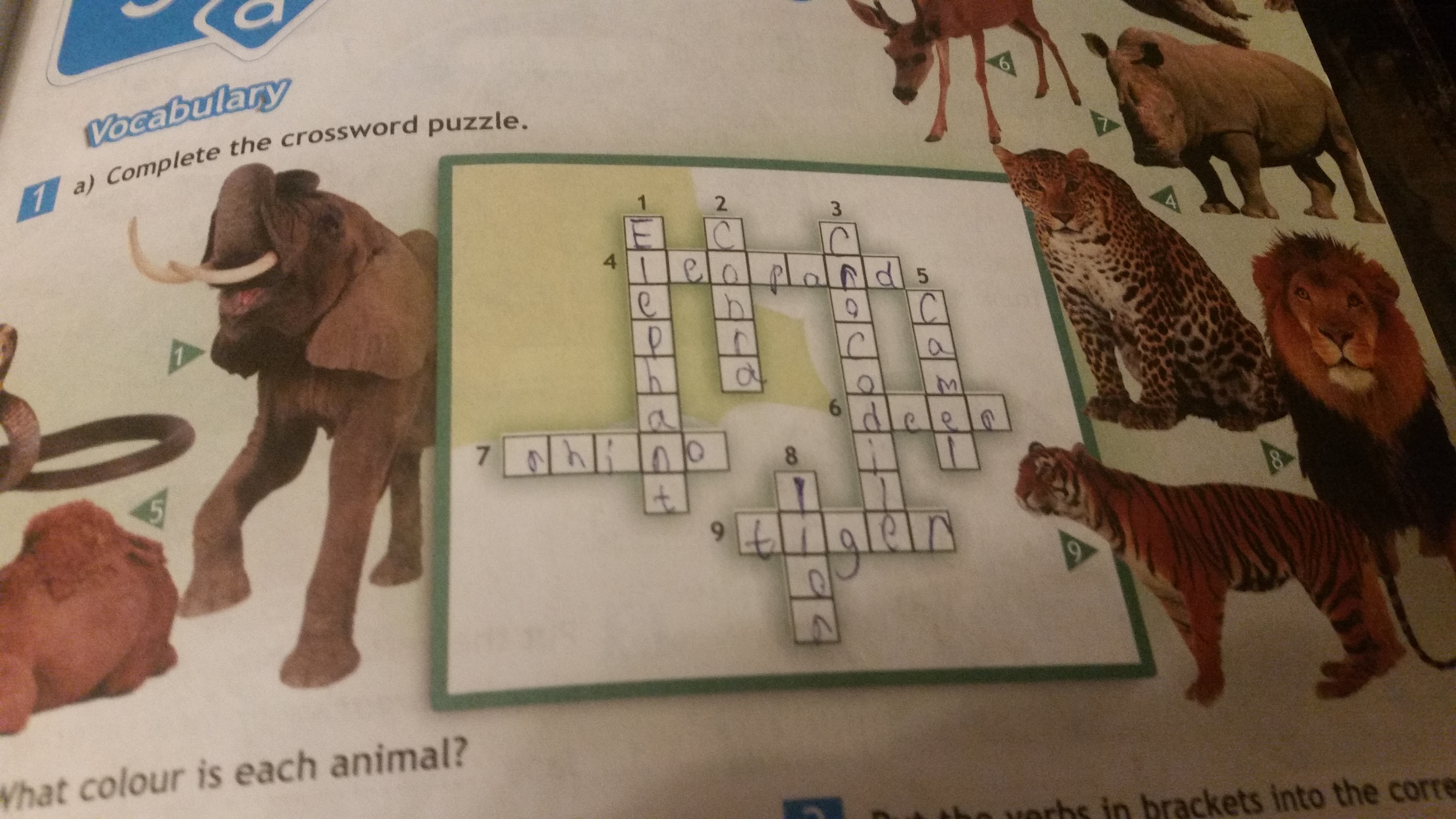 question img