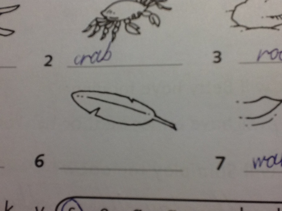 question img