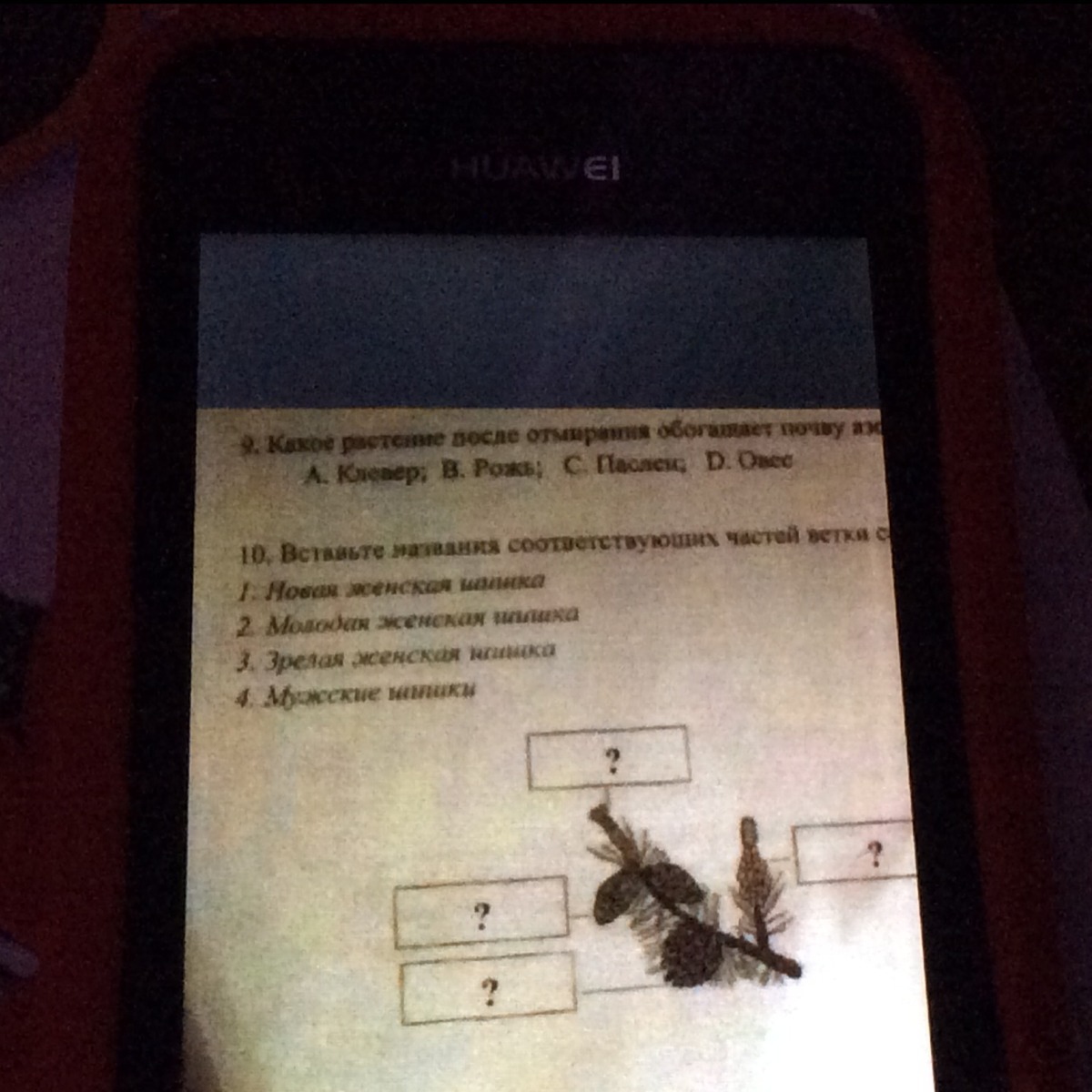 question img