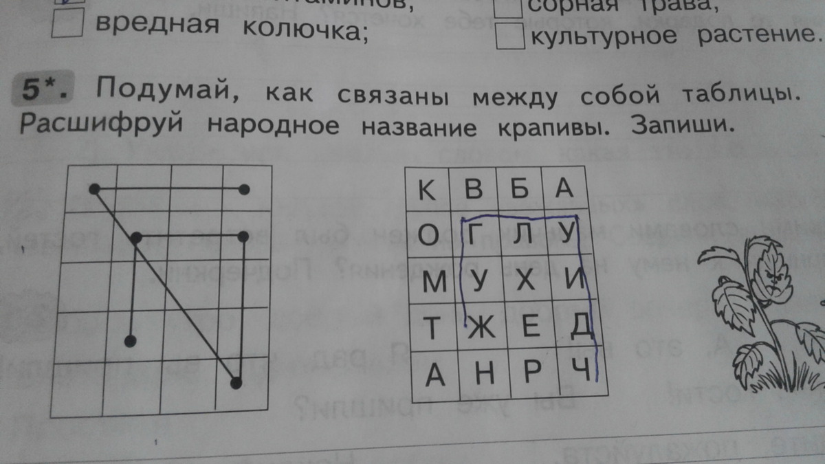 question img