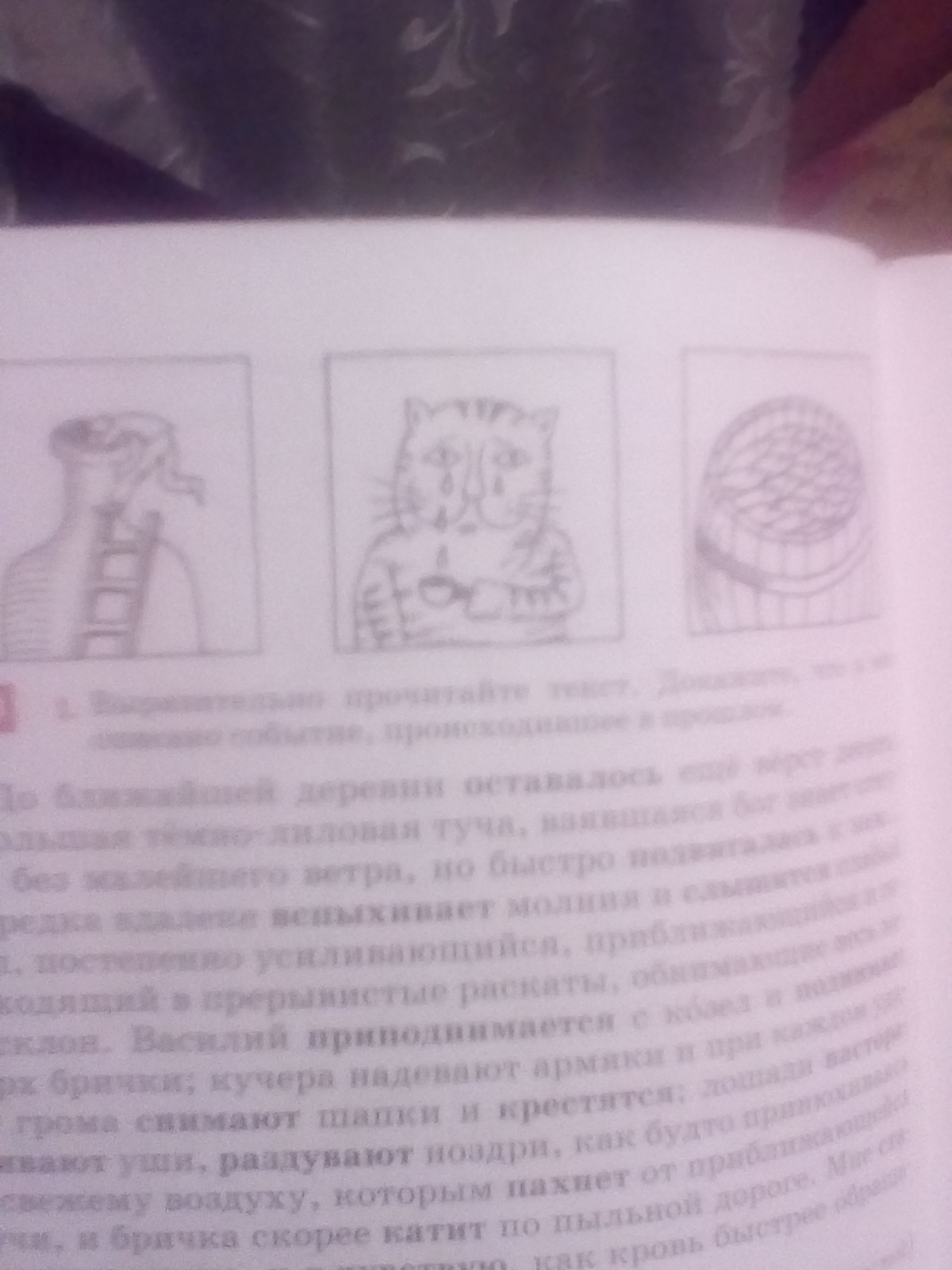question img