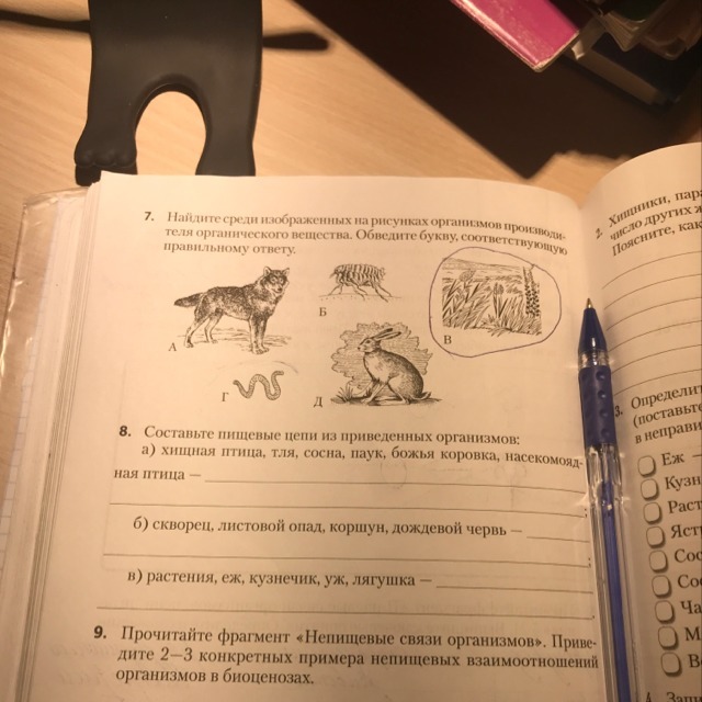 question img