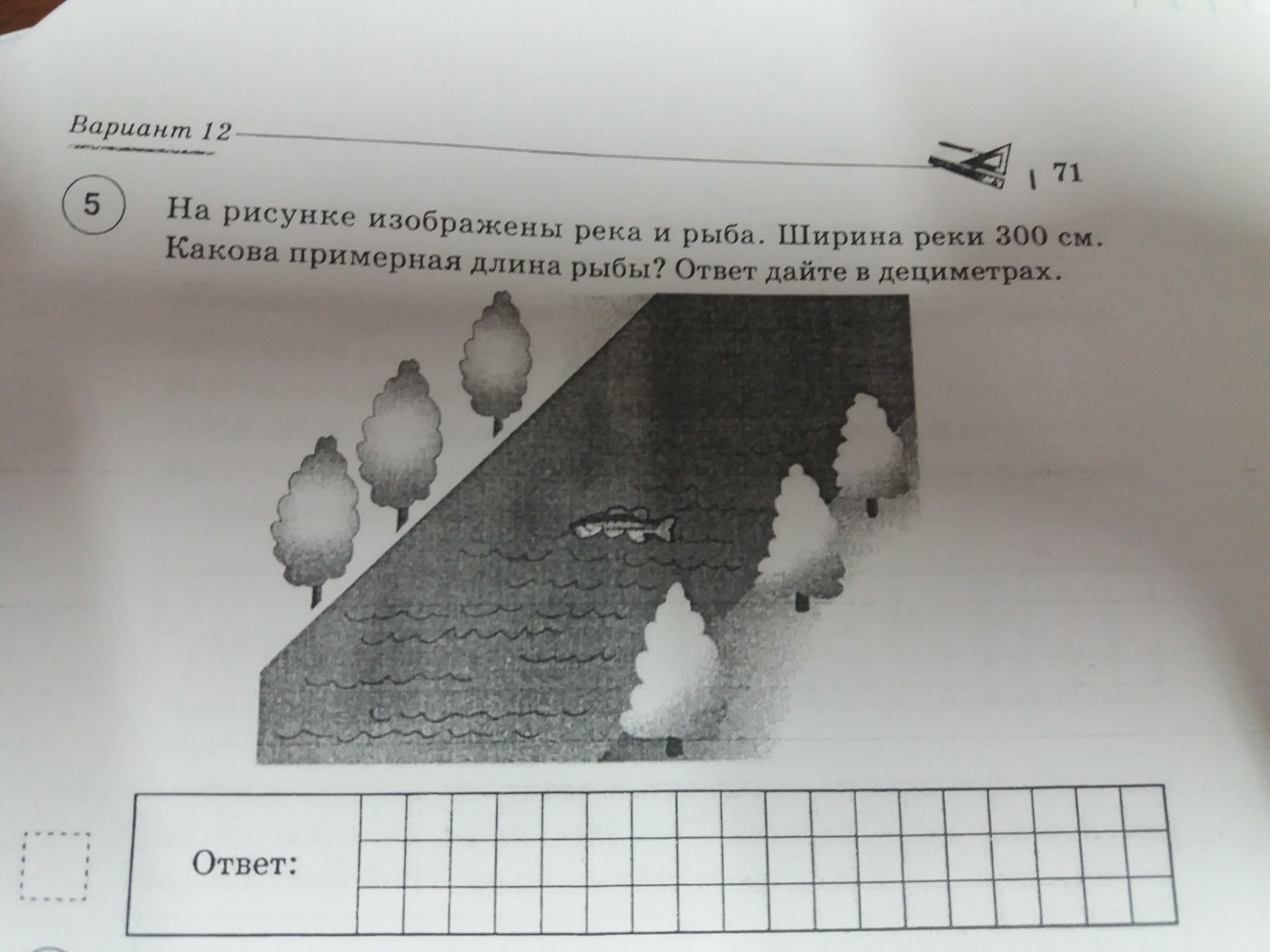 question img