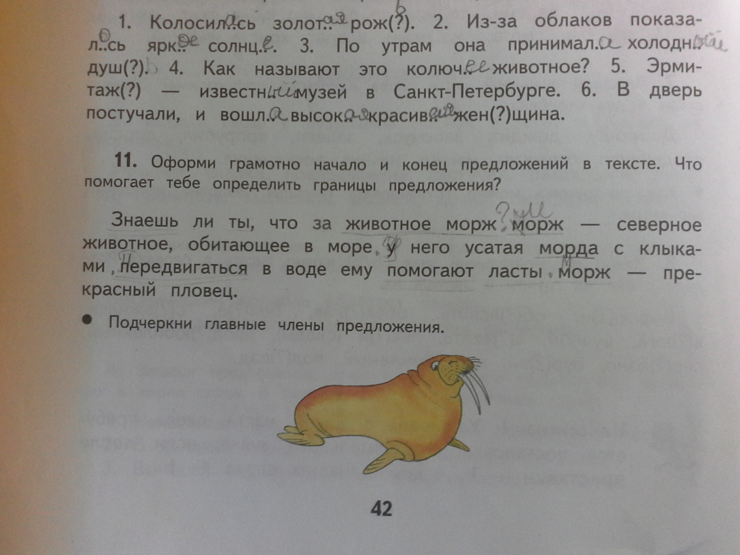 question img