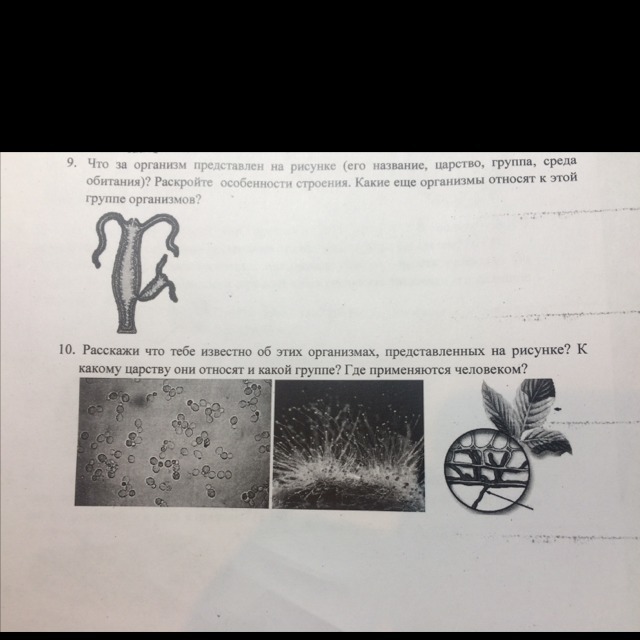 question img