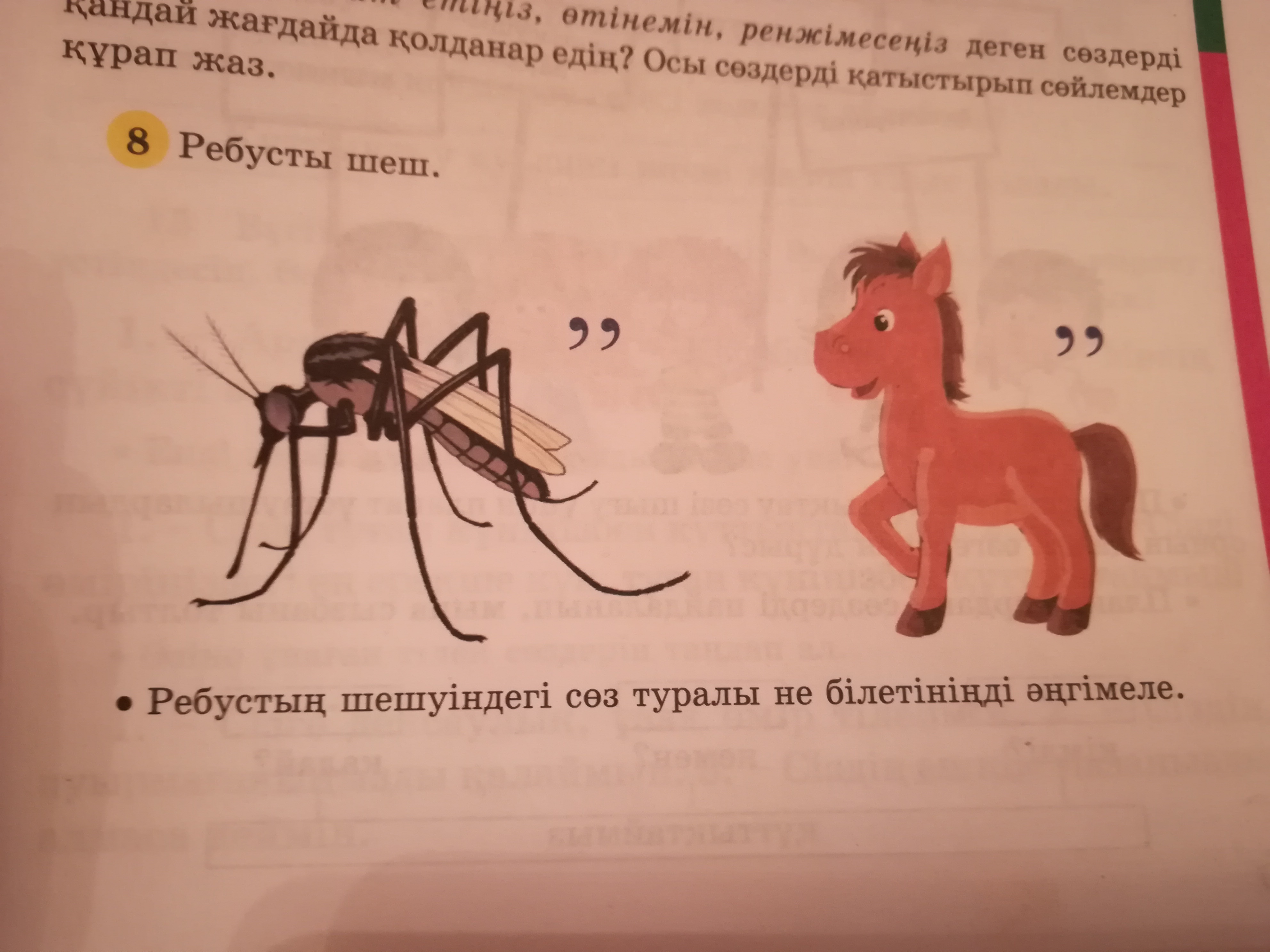 question img