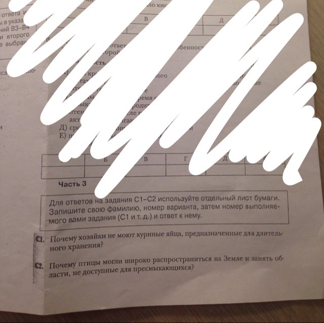 question img