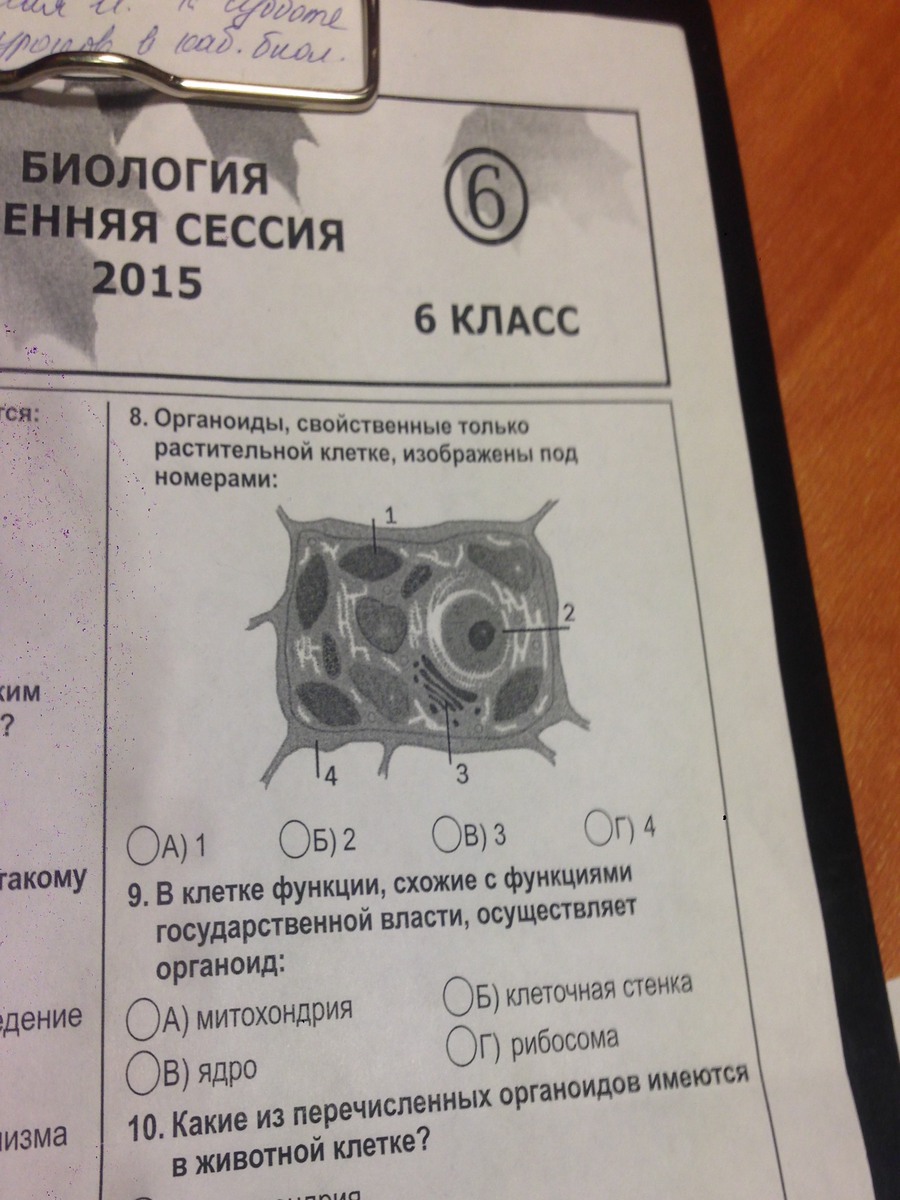 question img
