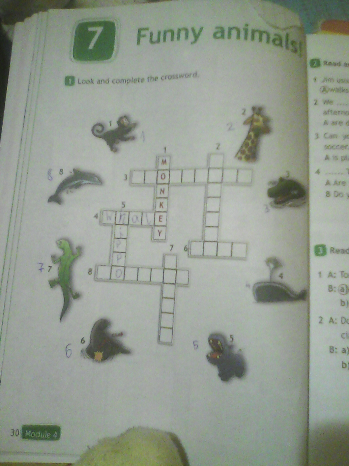 question img