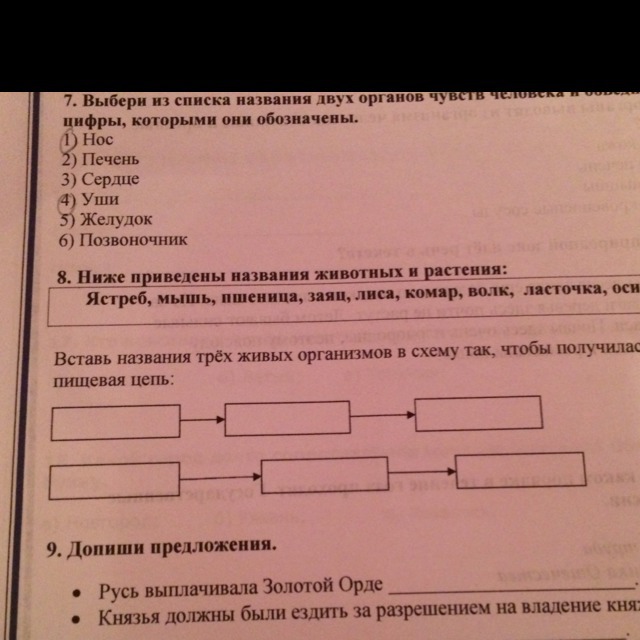 question img