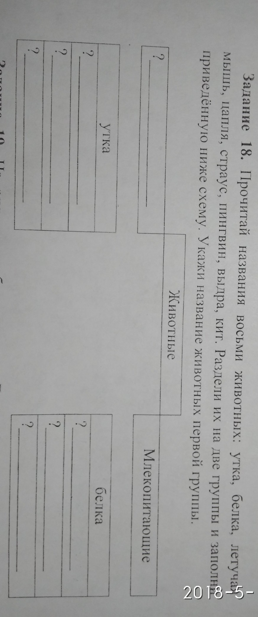 question img