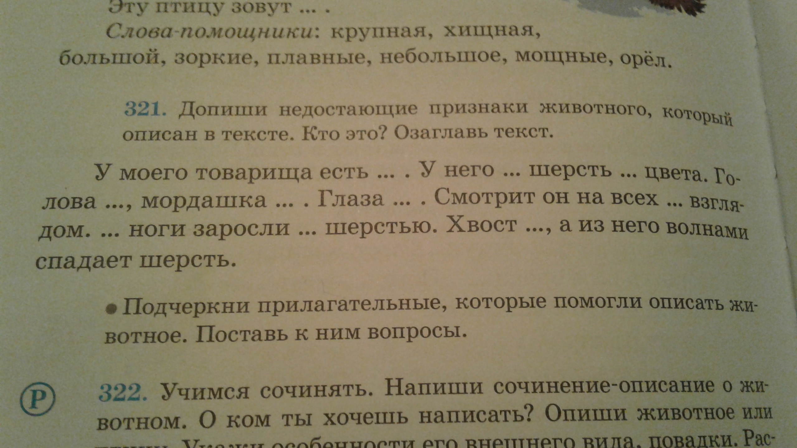 question img