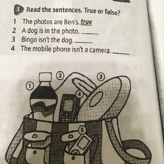 question img