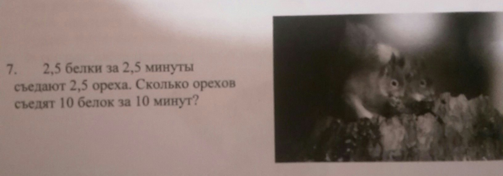 question img