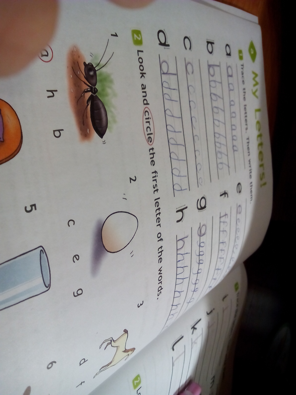 question img