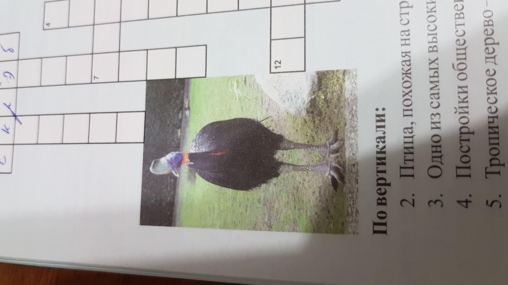 question img