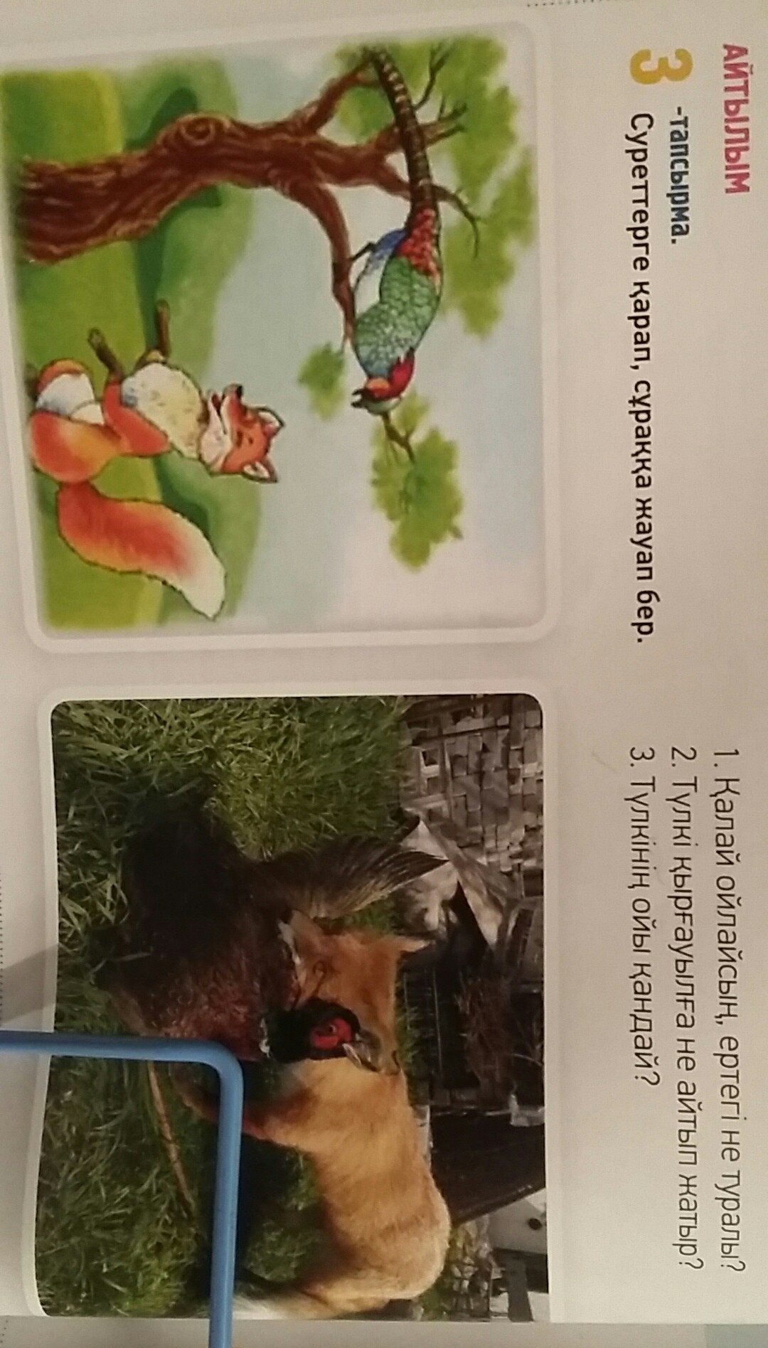 question img