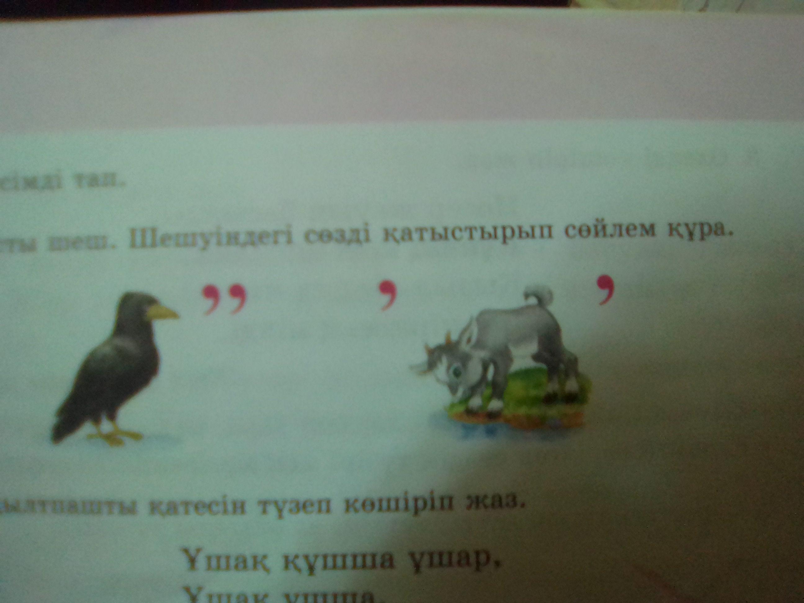 question img