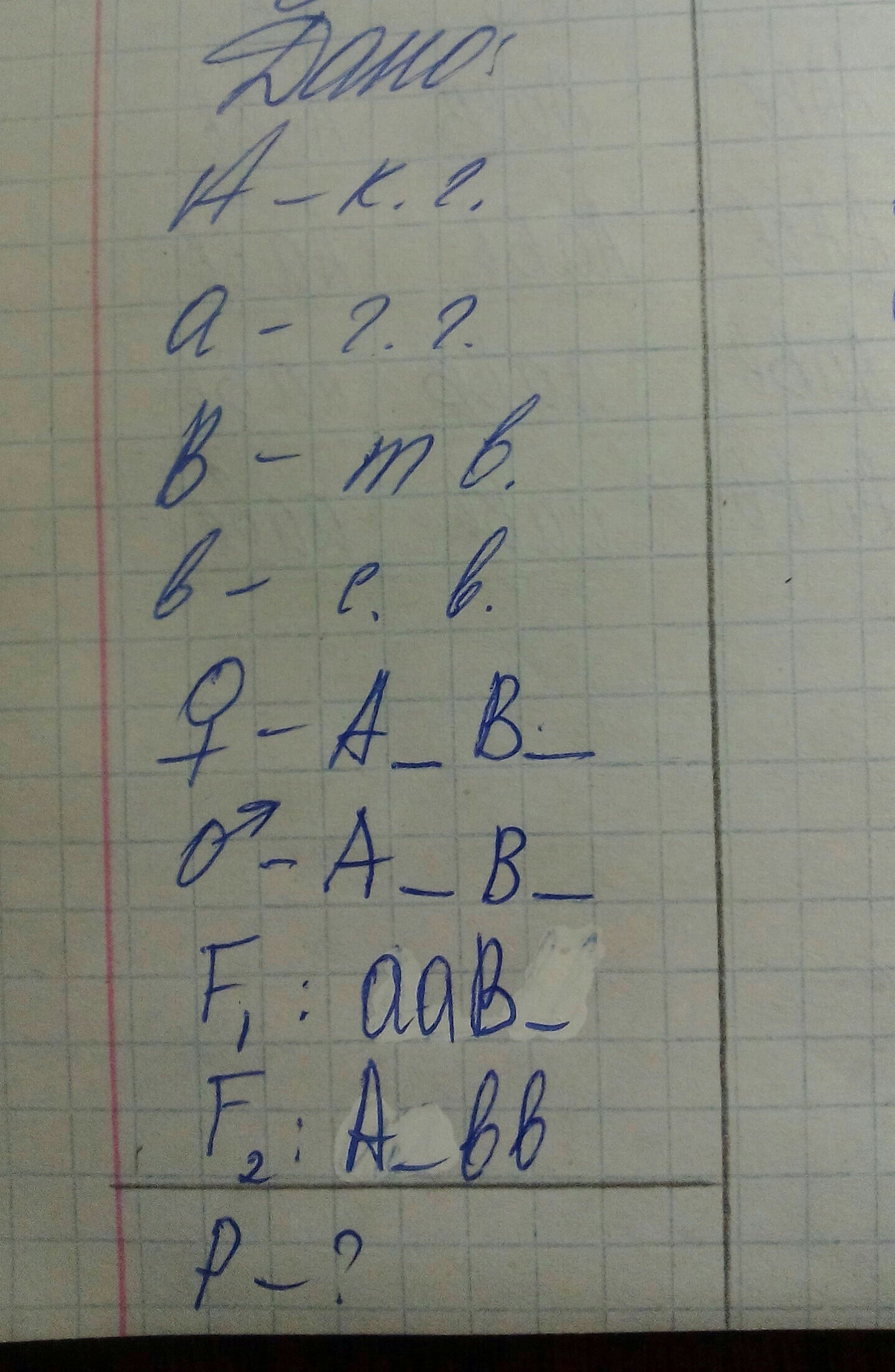 question img
