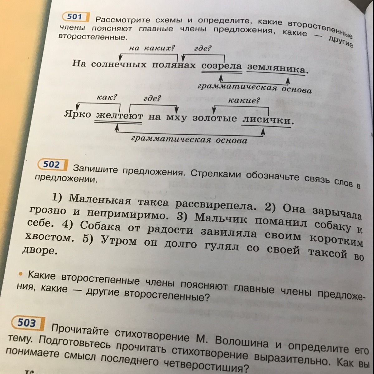 Вокруг стола словосочетание