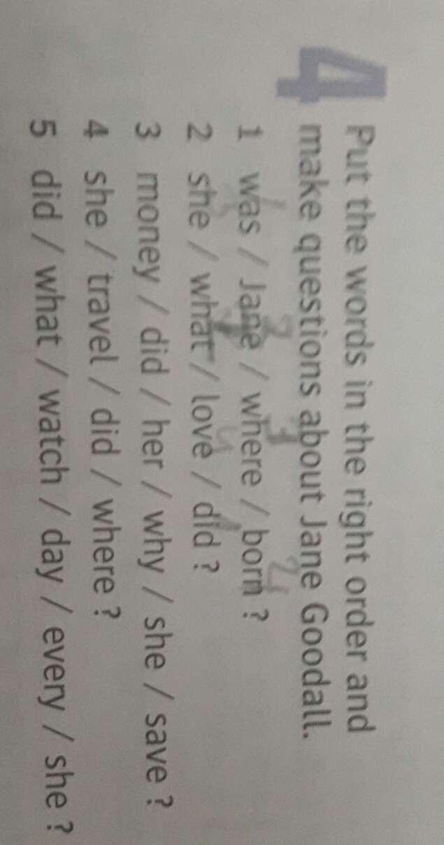 question img
