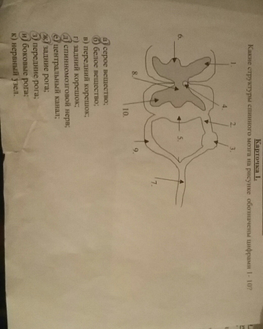 question img