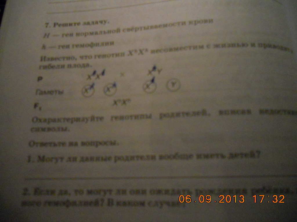 question img
