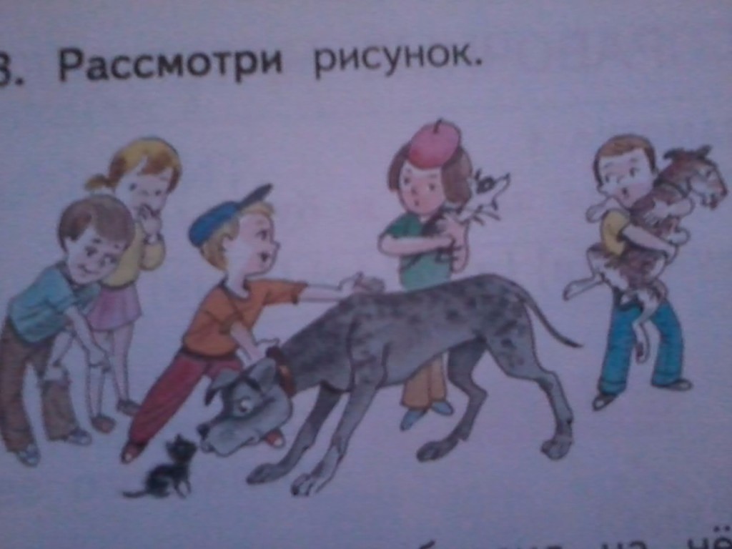 question img