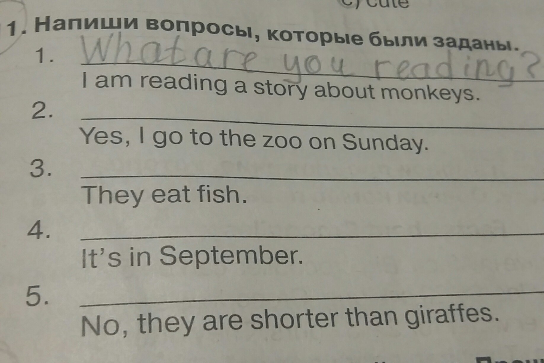 question img