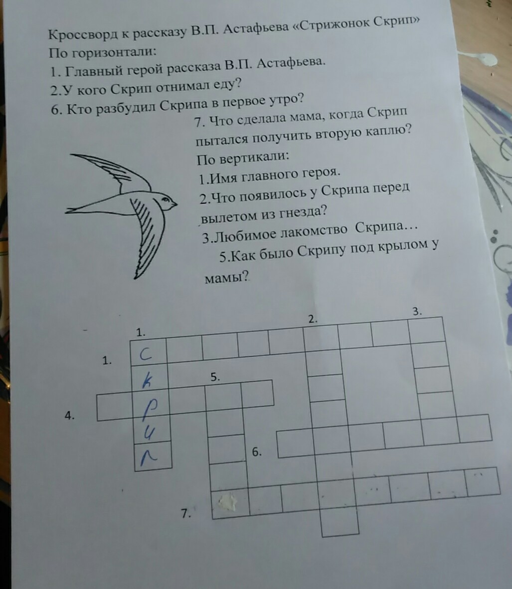question img