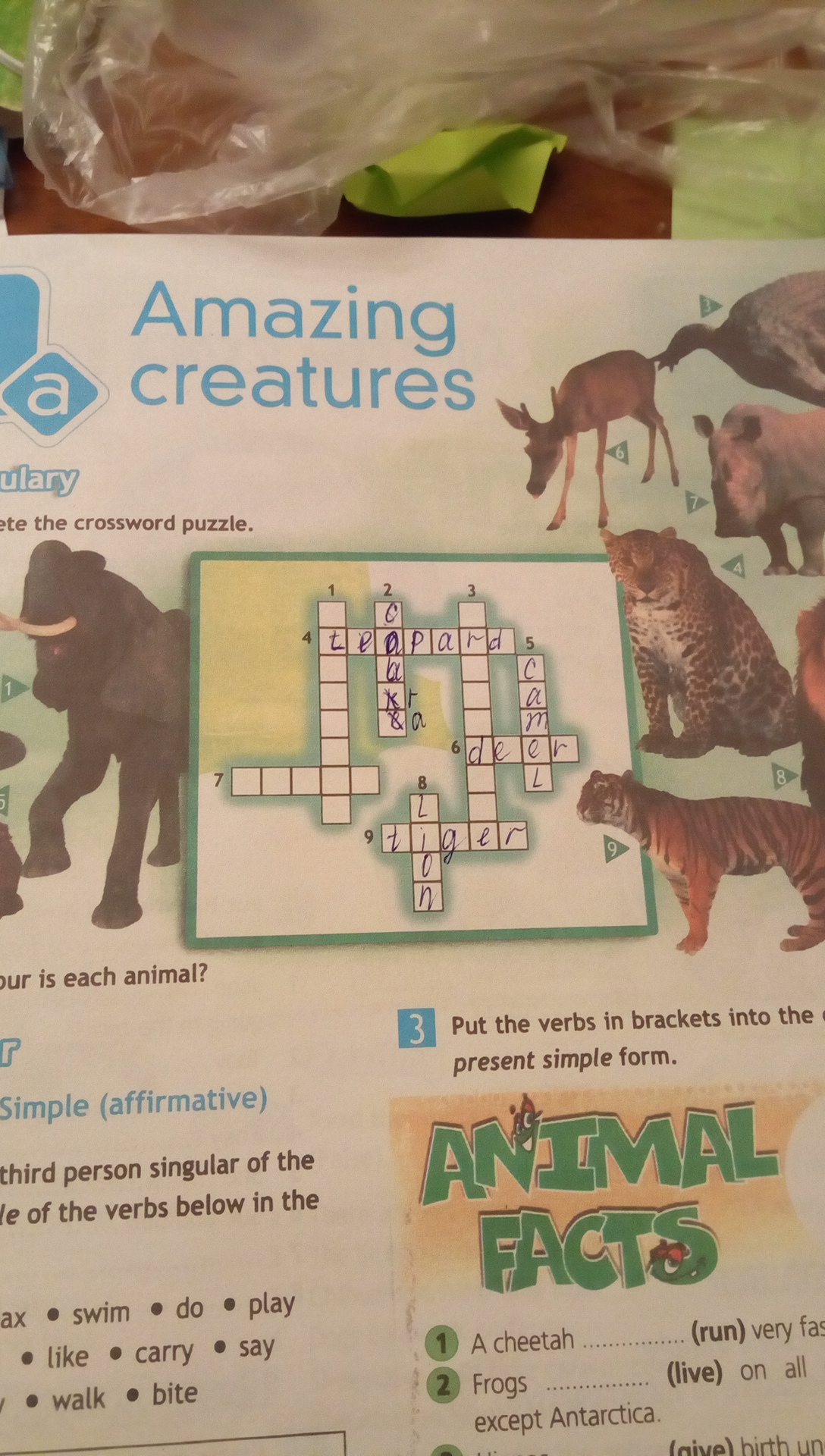 question img