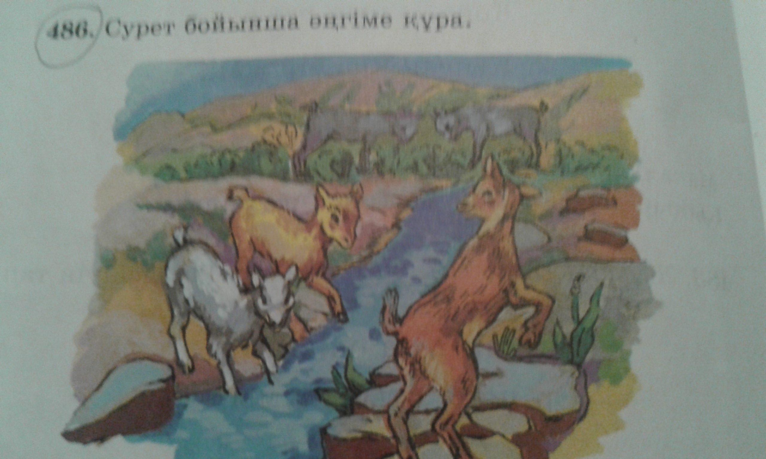 question img
