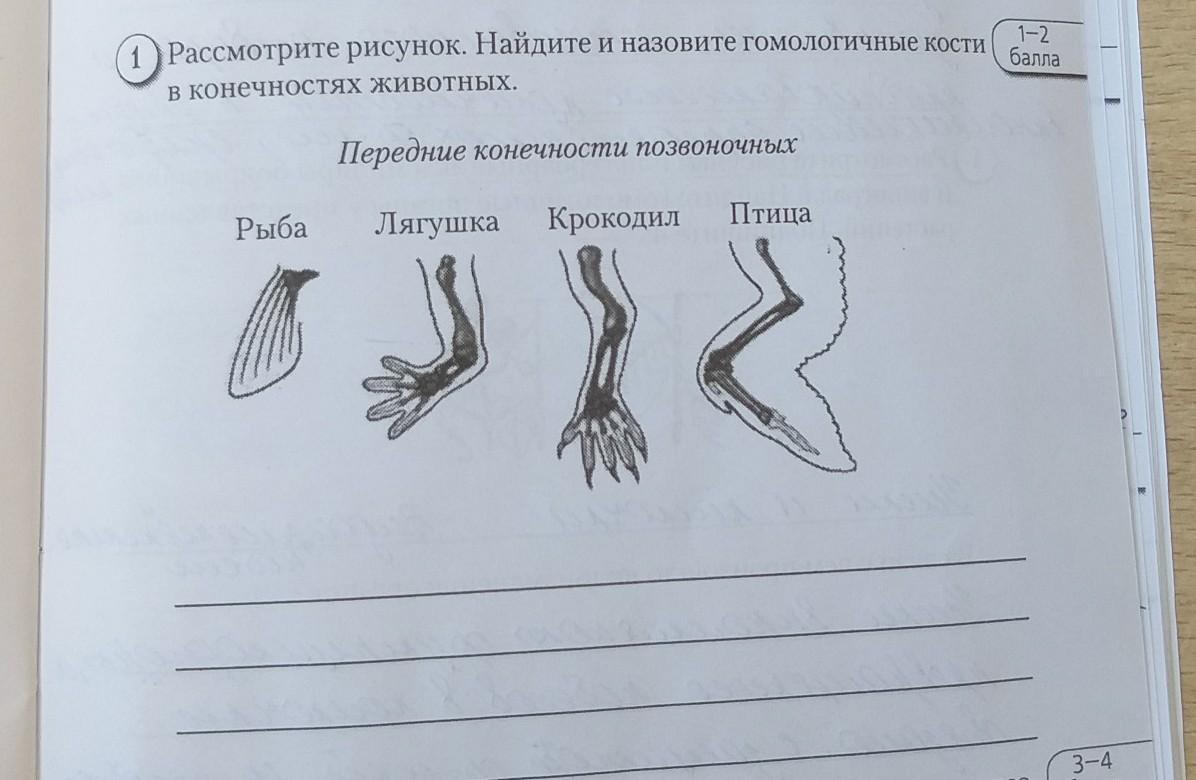 Рассмотрите Фотографию Для Иллюстрации Какой Формы