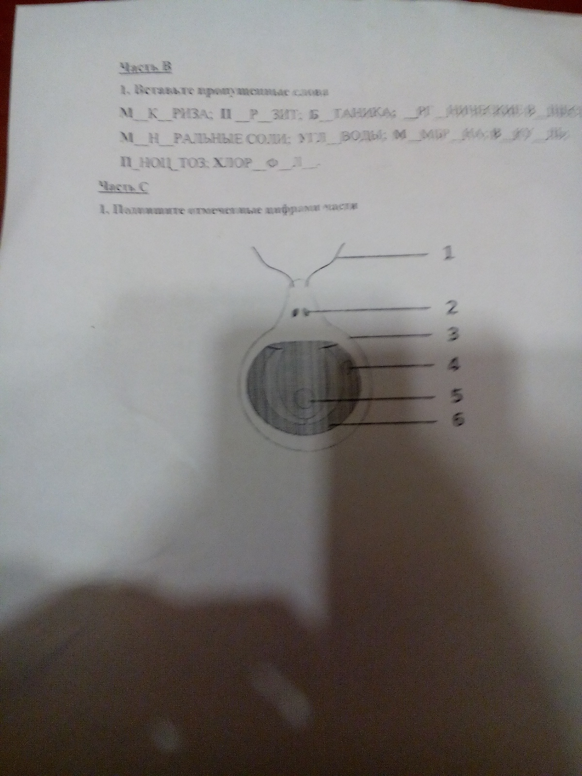 question img
