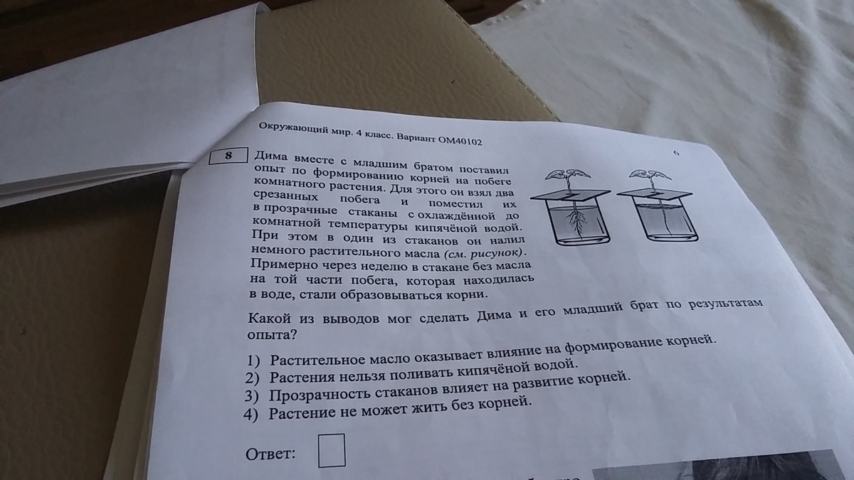 question img