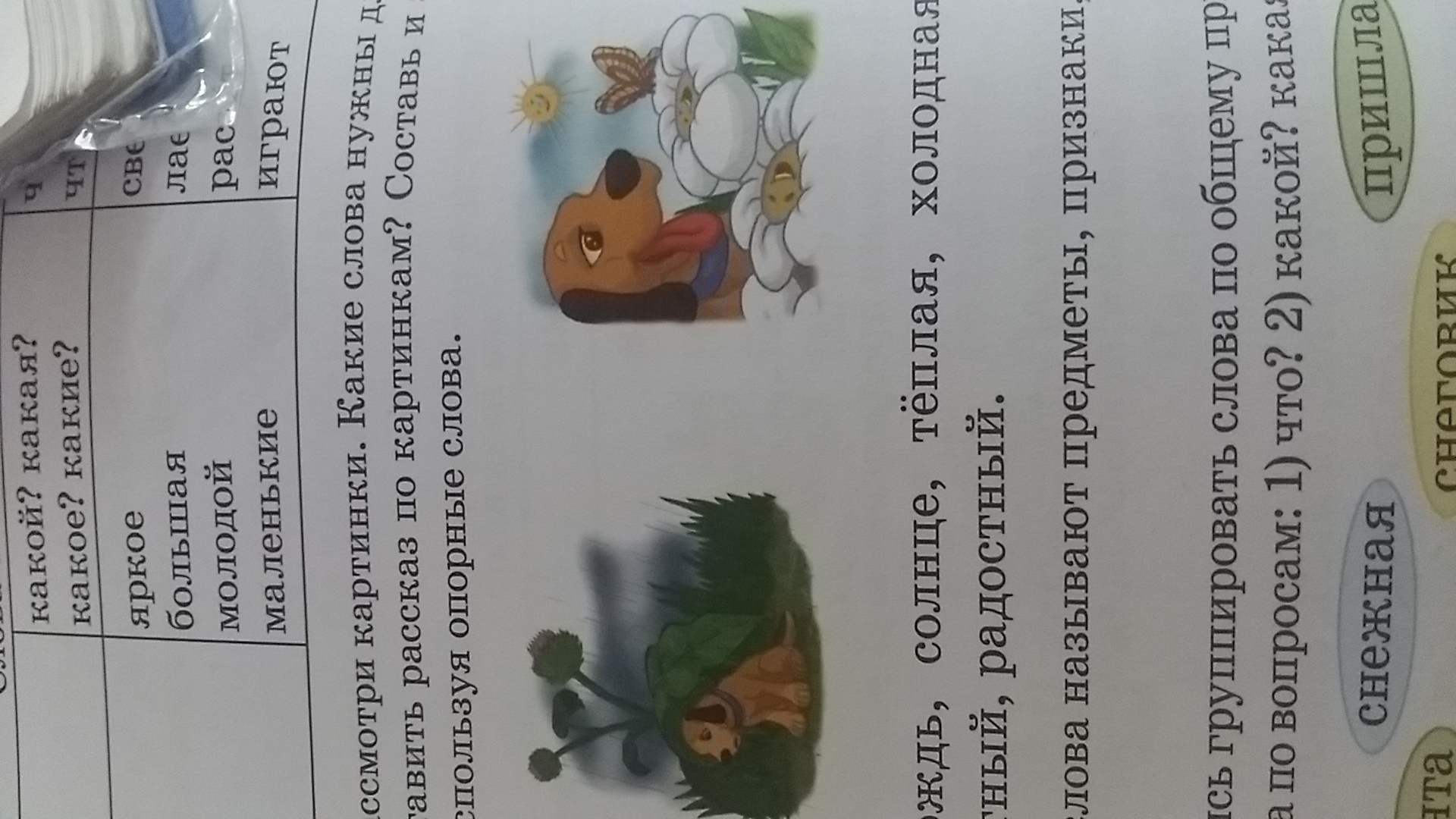 question img
