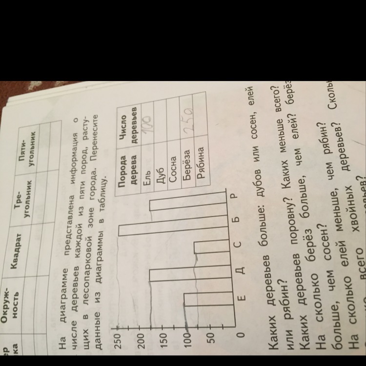 На диаграмме представлена информация о числе деревьев. На диаграмме представлена информация. На диаграмме представлен информация деревьев. На диаграмме предоставлена информация о числе в деревьев каждой. Запишите ответы по диаграмме количество деревьев.