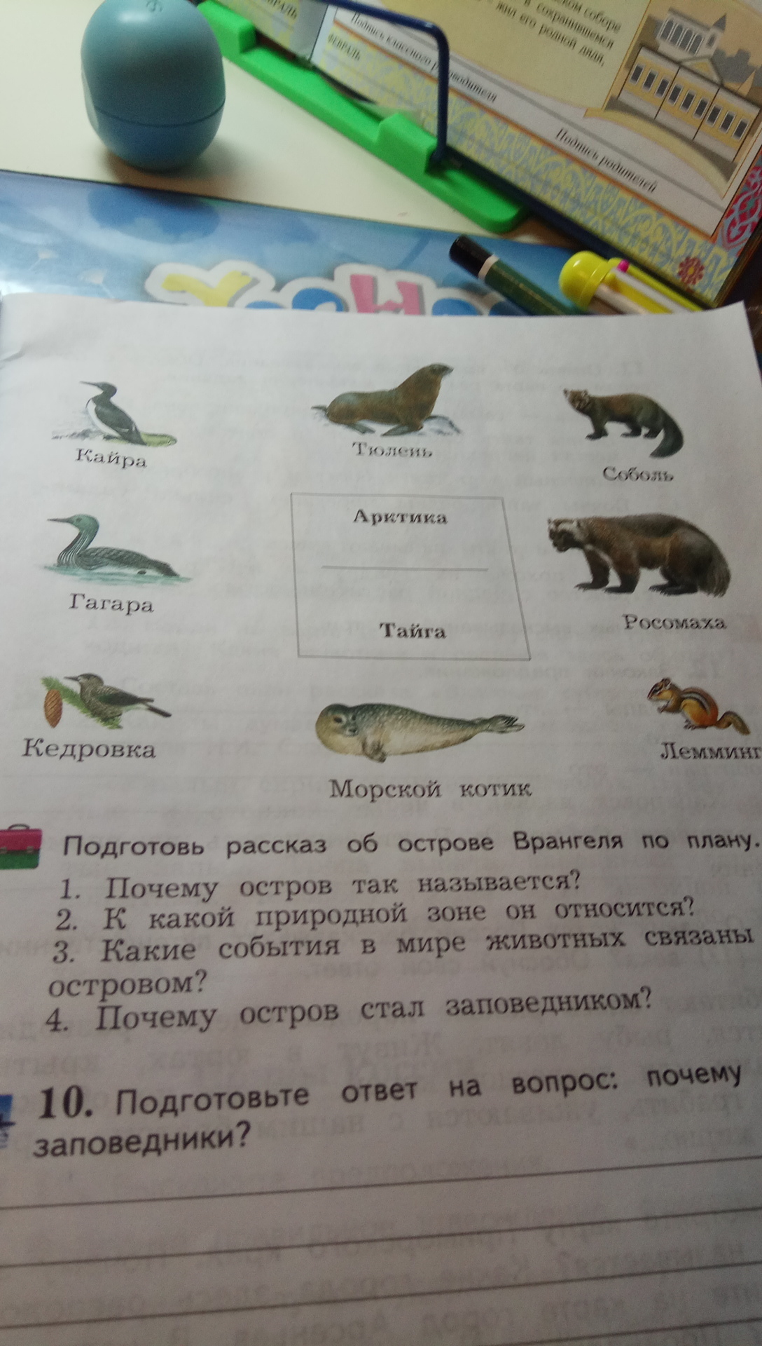 question img