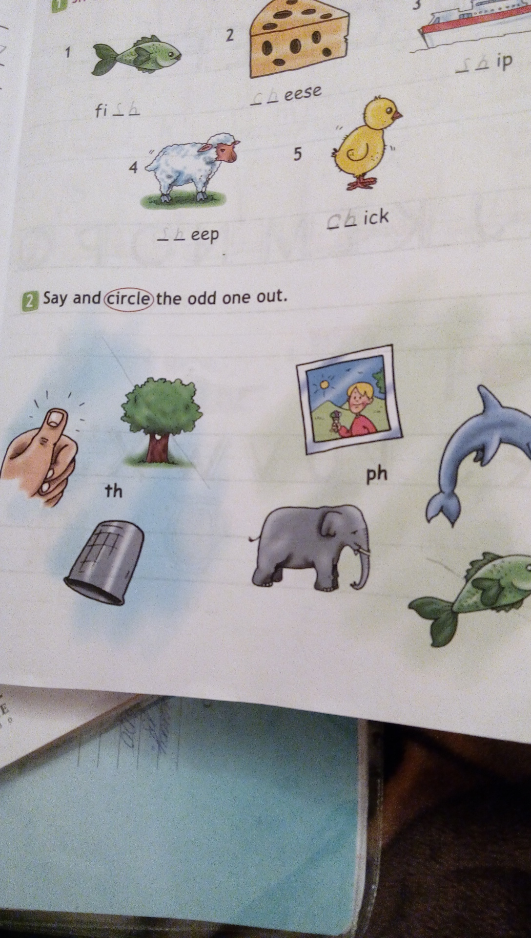 question img